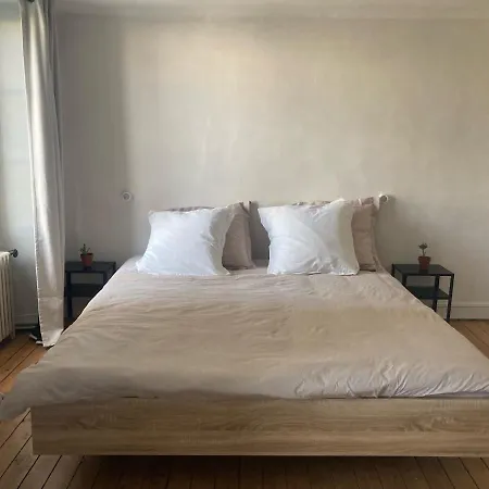 Cosy Face A La Mayenne Laval (Mayenne)